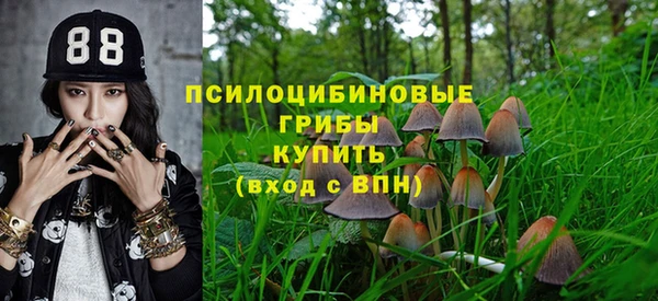 ешки Богородицк