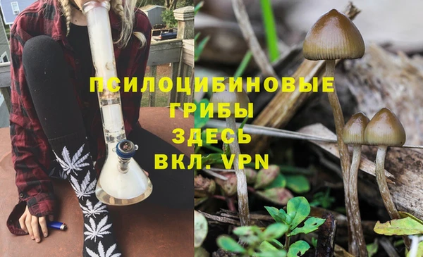 гидропоника Богданович