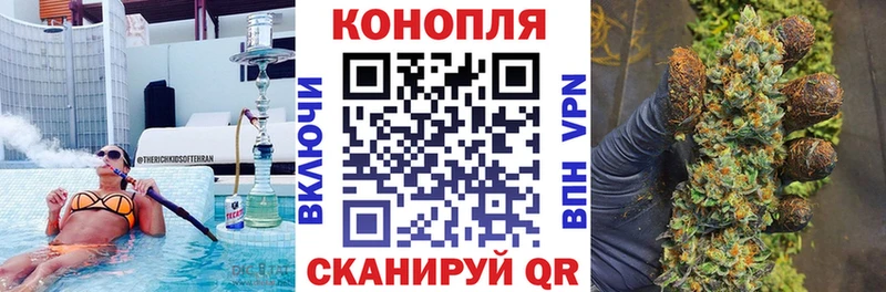 Бошки марихуана VHQ  где можно купить наркотик  Буйнакск 